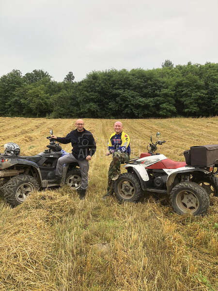 Polaris trallbos