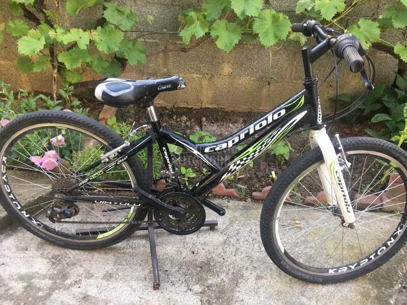 Capriolo Diavolo 240 Crno Zeleni