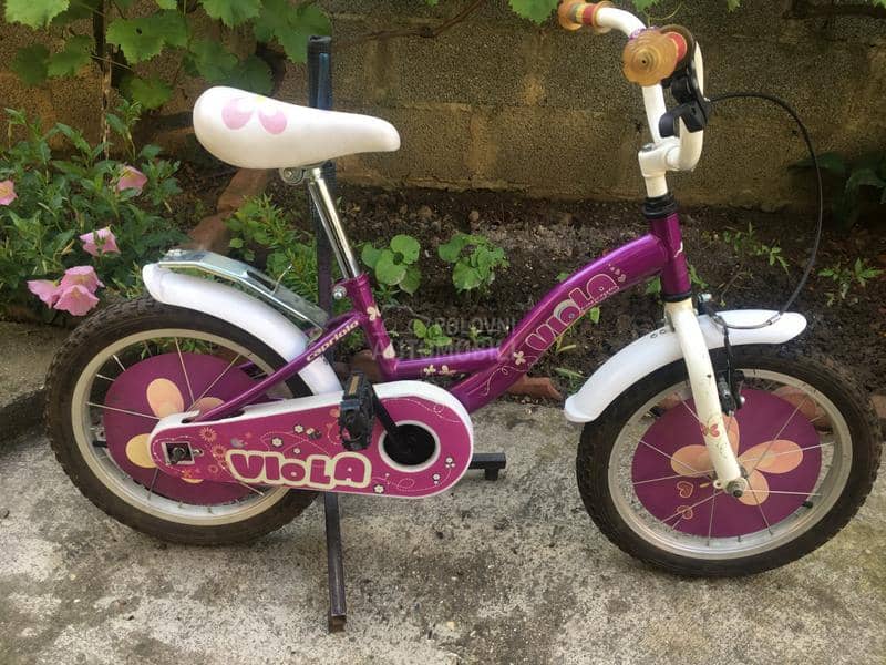 Capriolo Viola 16 Ljubicasta 4