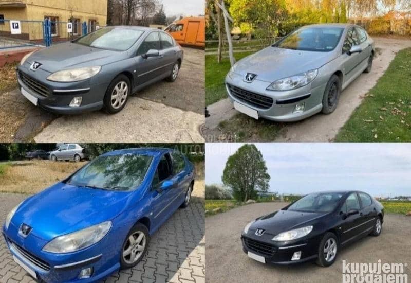 Centralna Brava Zadnja L / D