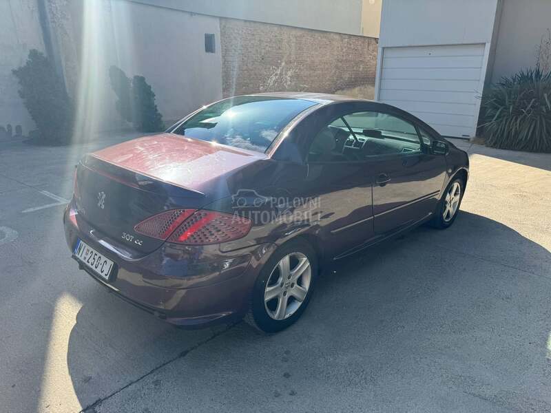 Peugeot 307 2.0 TNG