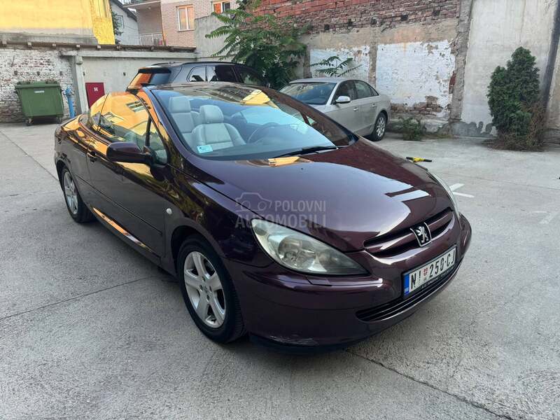 Peugeot 307 2.0 TNG