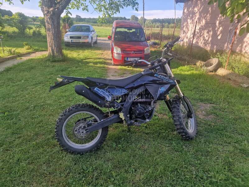 Sprint Apollo RX 250