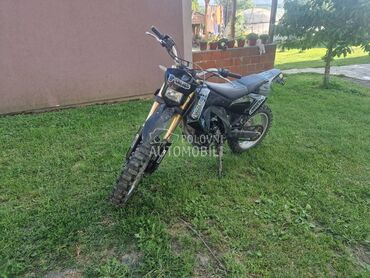 Sprint Apollo RX 250