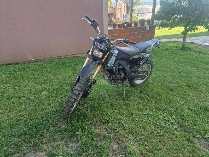 Sprint Apollo RX 250