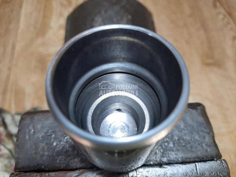 Kociona KlestaZadnja