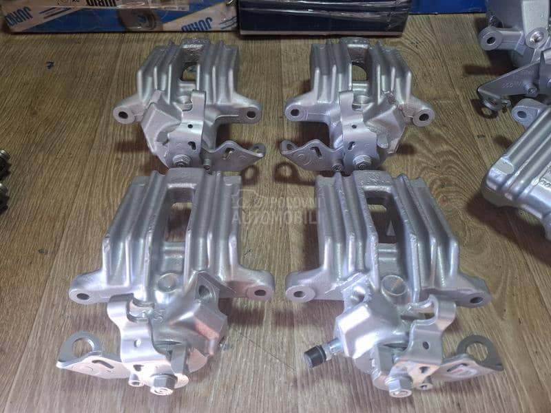 Kociona KlestaZadnja