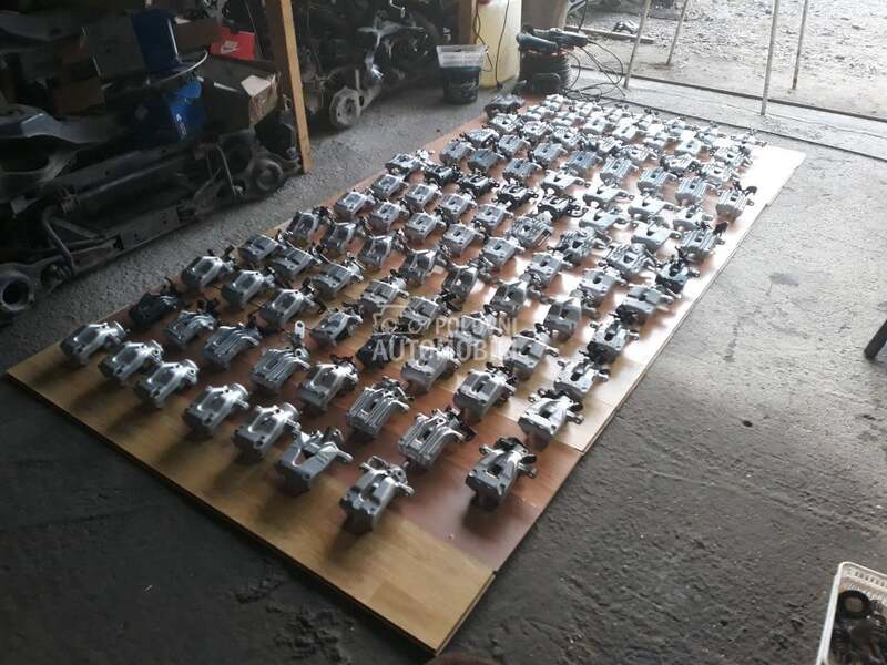 Kociona KlestaZadnja