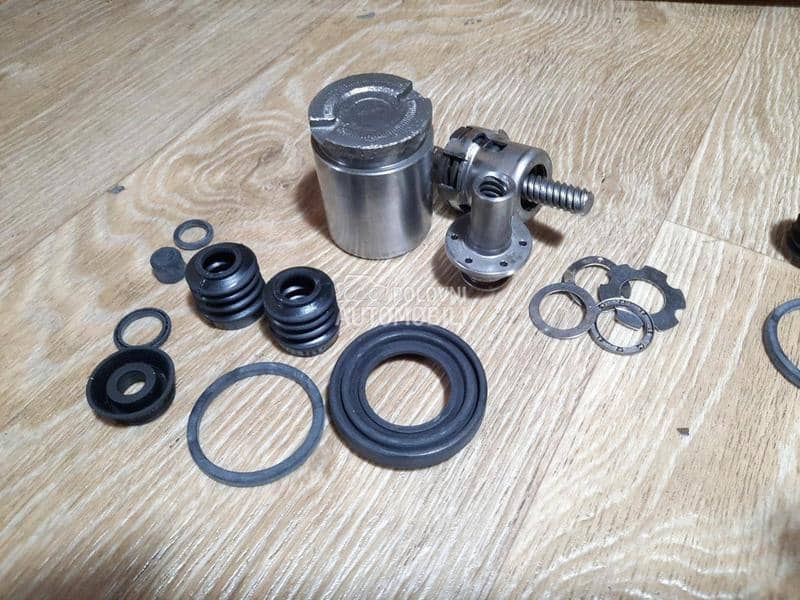 Kociona KlestaZadnja