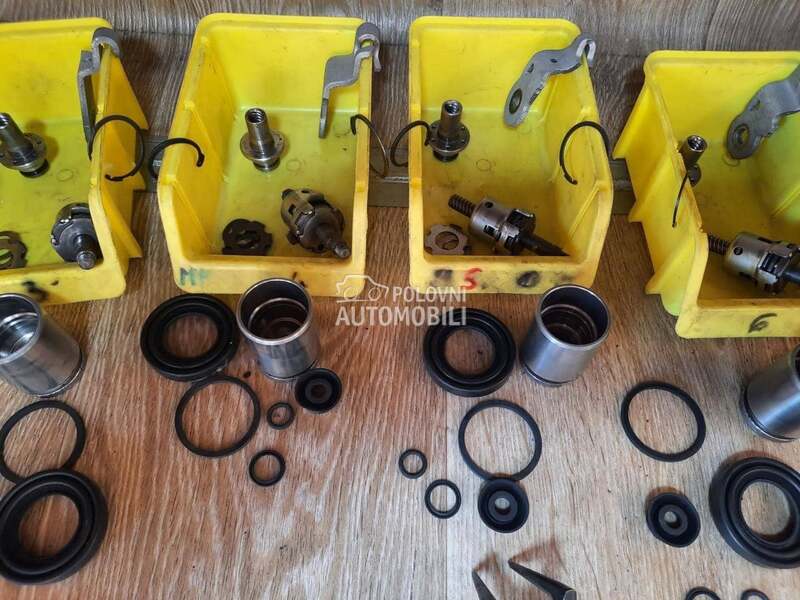 Kociona KlestaZadnja