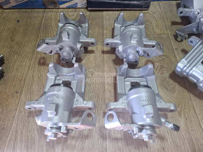 Kociona Klesta Zadnja