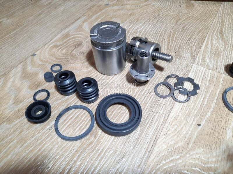 Kociona Klesta Zadnja