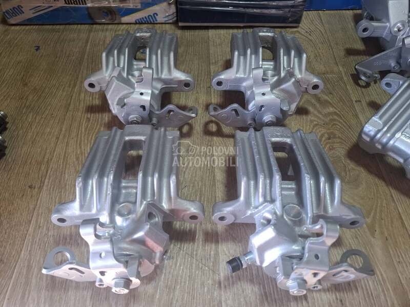 Kociona Klesta Zadnja