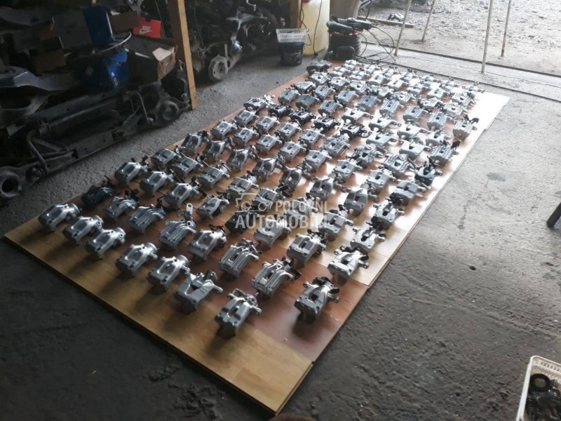 Kociona Klesta Zadnja