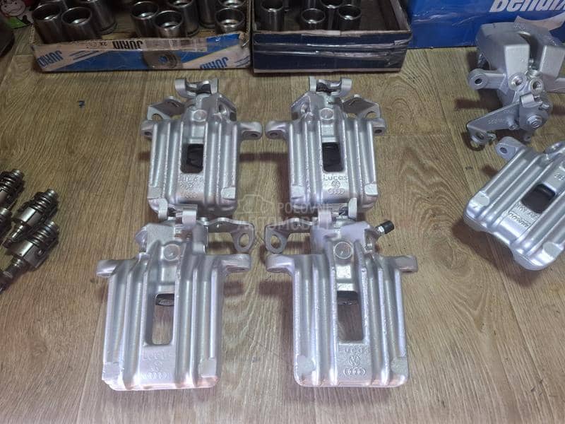 Kociona Klesta Zadnja