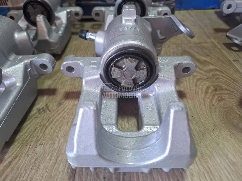 Kociona Klesta Zadnja