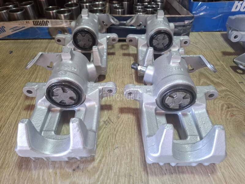 Kociona Klesta Zadnja