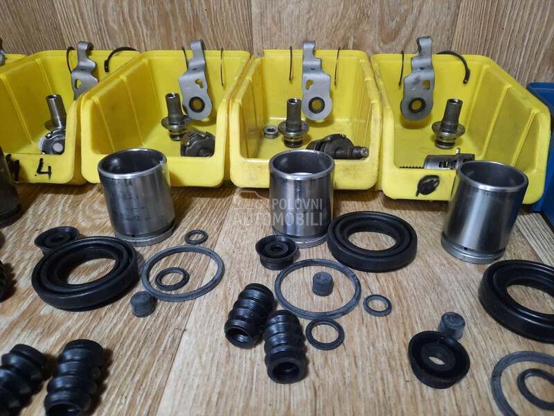 Kociona Klesta Zadnja