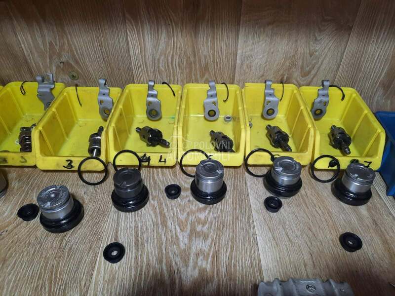 Kociona Klesta Zadnja