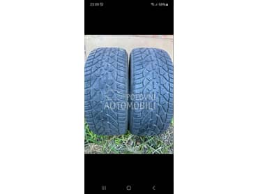 Riken 225/45 R17 Zimska