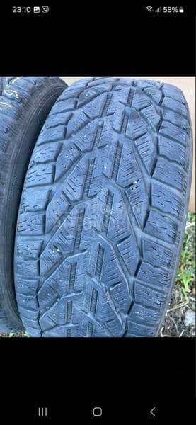 Riken 225/45 R17 Zimska