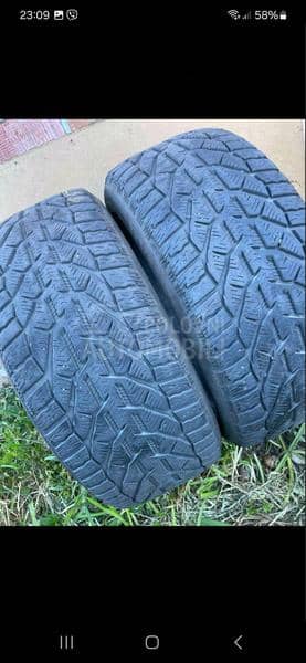 Riken 225/45 R17 Zimska