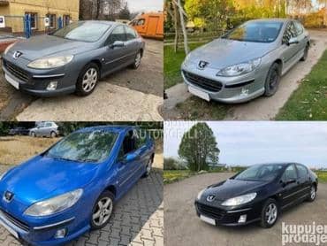 Šina Prednjeg Branika za Peugeot 407