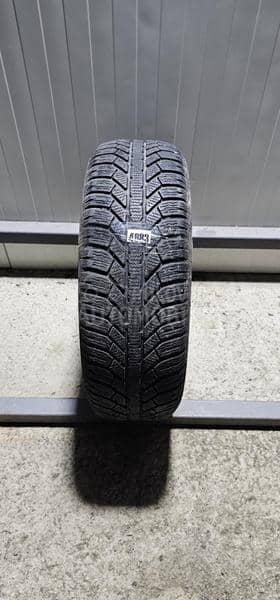 Semperit 195/65 R15 Zimska