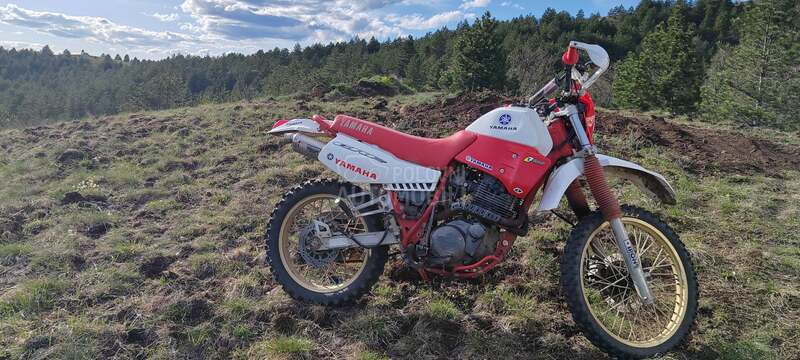 Yamaha XT