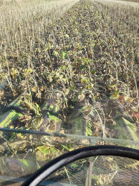 Claas 106 za sve kulture