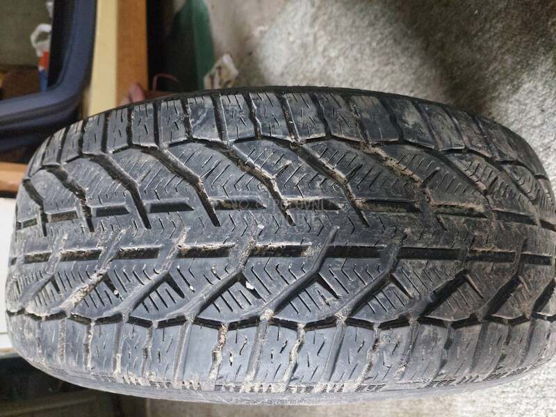 Riken 225/45 R18 Sve sezone