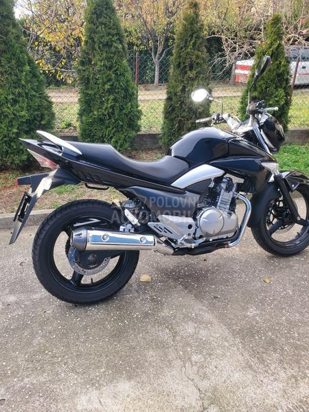 Suzuki GW250 Inazuma A2 kat.