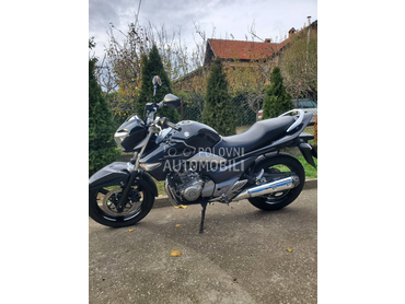 Suzuki GW250 Inazuma A2 kat.