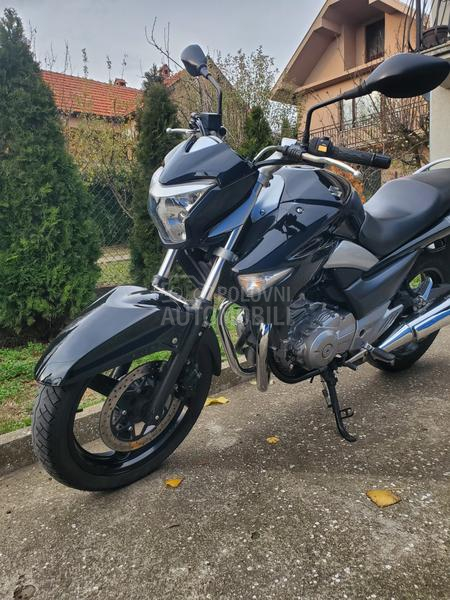 Suzuki GW250 Inazuma A2 kat.