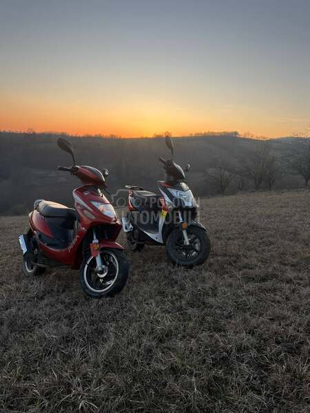 Longjia 50