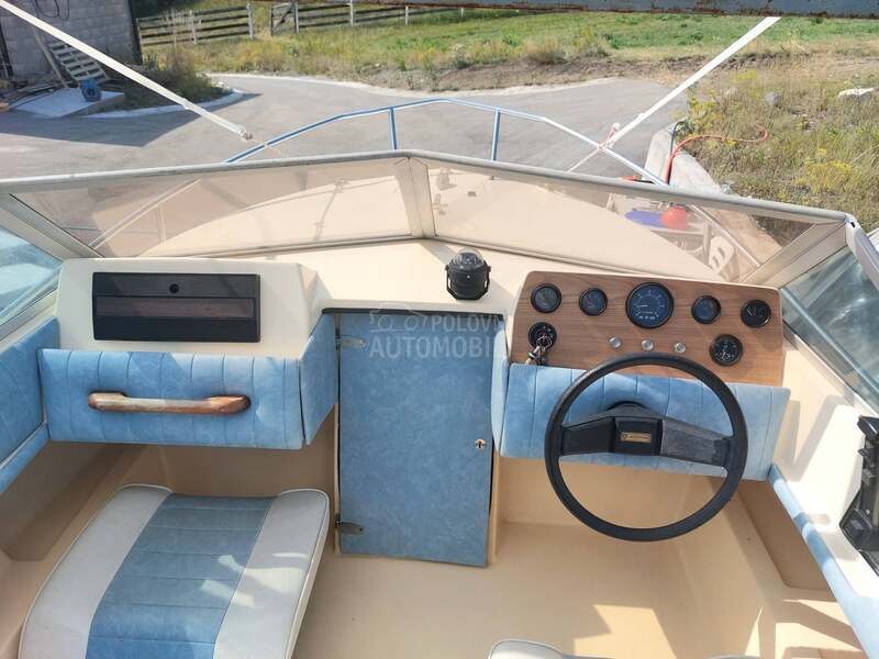 CORMORANT SHARK 560