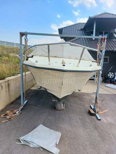 CORMORANT SHARK 560