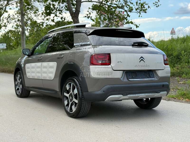 Citroen C4 Cactus RIP CURL