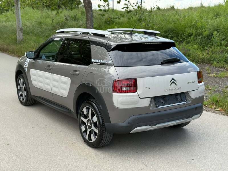 Citroen C4 Cactus RIP CURL