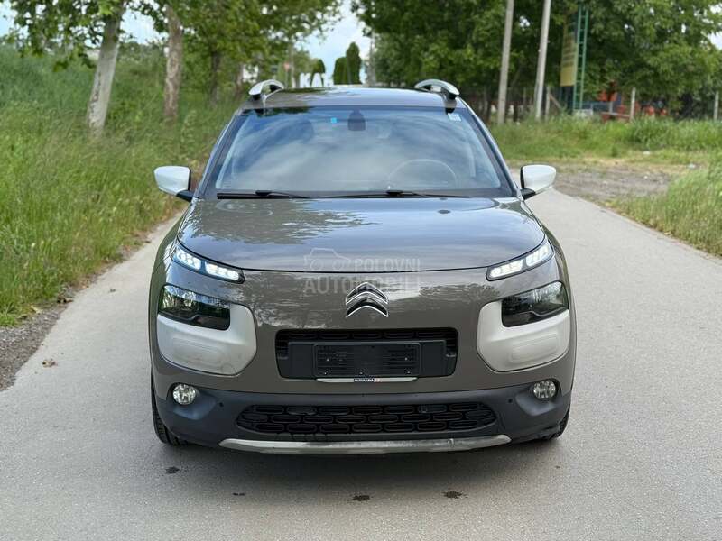 Citroen C4 Cactus RIP CURL