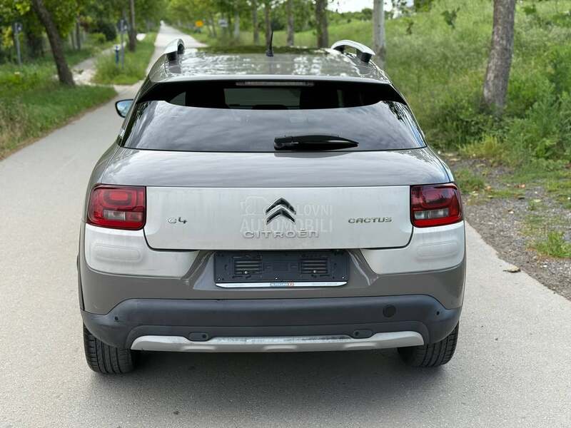 Citroen C4 Cactus RIP CURL