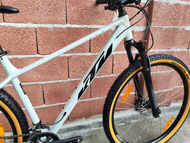 KTM Alp Pro 29er