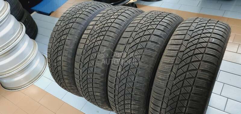 Nortec 195/55 R16 Sve sezone