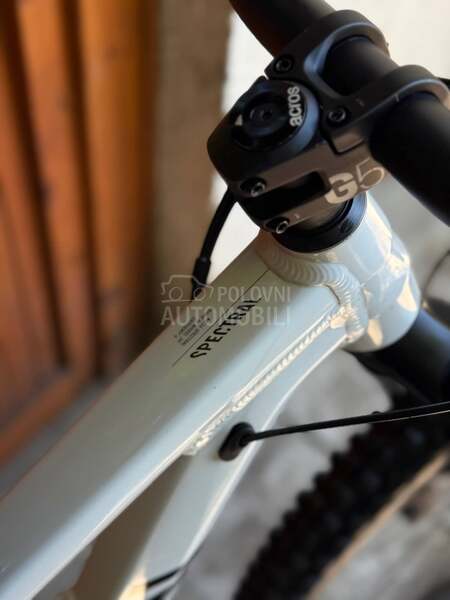 Canyon Spectral 29