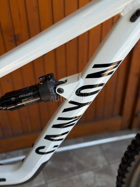 Canyon Spectral 29