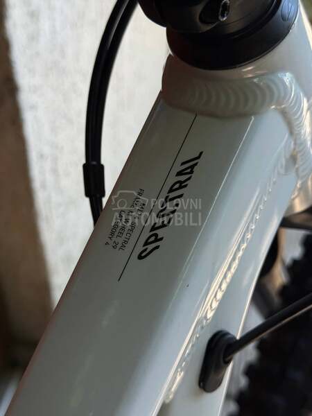 Canyon Spectral 29