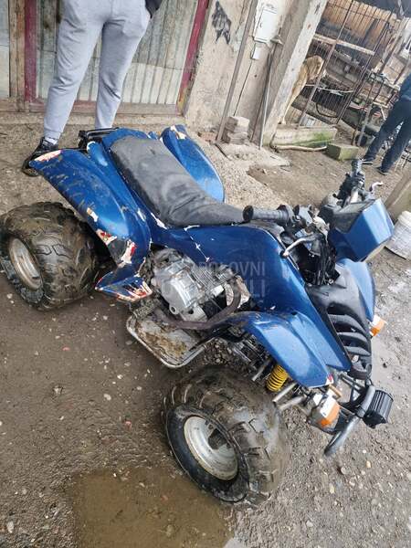 Bashan S3