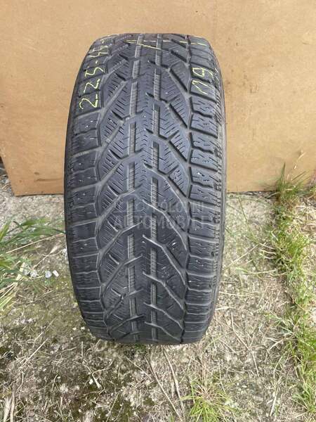 Riken 225/45 R17 Zimska