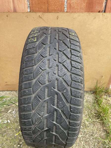 Riken 225/45 R17 Zimska