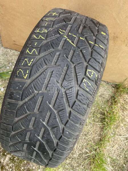 Riken 225/45 R17 Zimska